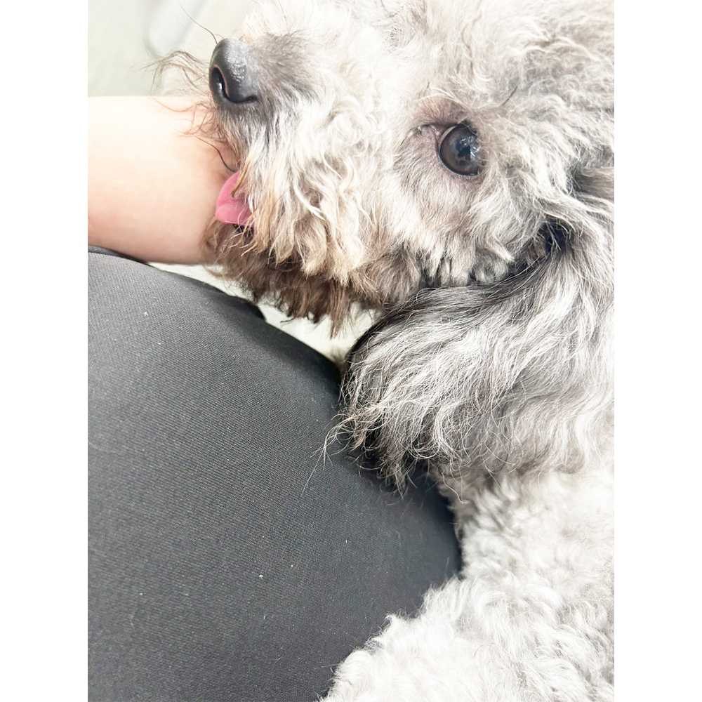 Ｗａｎ活で生徒が撮影した写真♪①